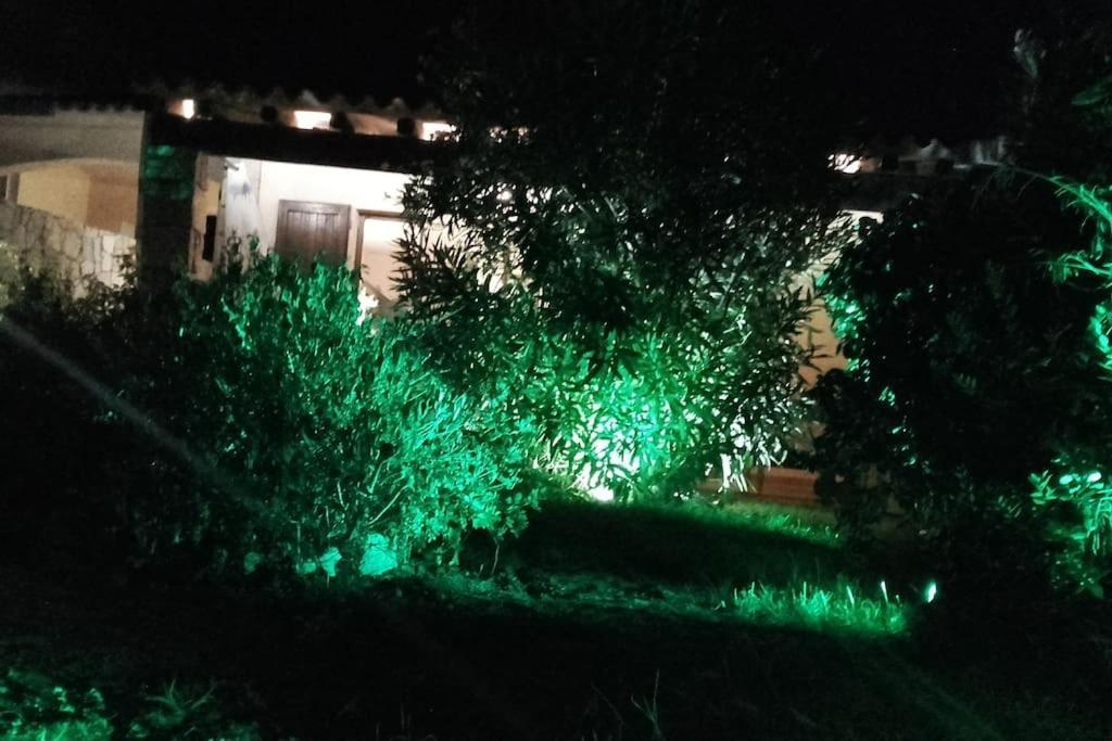 Villetta Reparata سانتا تيريزا غالّورا المظهر الخارجي الصورة